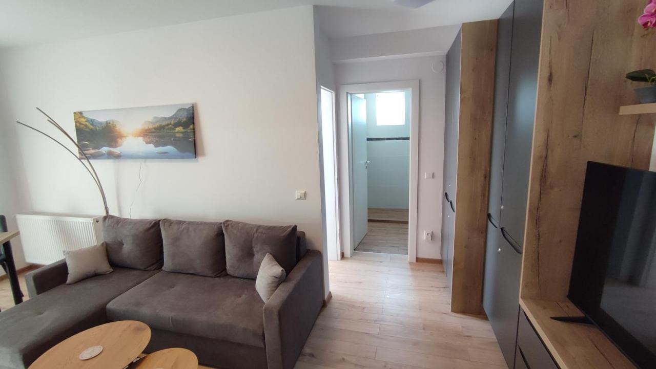 Apartment Joerg Sibiu Eksteriør billede